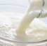 Британские ученые ответили, нужна ли взрослым молочная продукция - Минсельхоз Чувашии