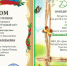Педагог Дома детского творчества г. Канаш – победитель и призер Всероссийского конкурса для детей и педагогов - Администрация Президента ЧР