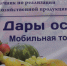 7 октября на площадке ООО «ТК «Северная» состоится торжественное закрытие месячника «Дары осени-2017» - Администрация г. Чебоксары