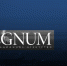Как монетизируют захваченную власть и политизируют стройки: Радио REGNUM - ИА Regnum.Ru
