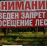 Для сведения жителей Чувашской Республики - леса Марий Эл закрыты для посещения в майские праздники - МЧС Чувашской Республики