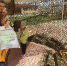 На Красной площади Чебоксар открыта выставка макетов оружия времен Великой Отечественной войны 1941-1945 гг. - Tvorite.Ru