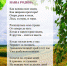 alt - Tvorite.Ru