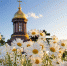 040718 - ЧувГУ