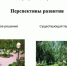 Проект студентки из Чувашии – победитель Всероссийской экологической акции «Волонтеры могут все» - Министерство образования