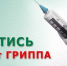 Вакцинация от гриппа и ОРВИ - ЧГПУ им. И.Я. Яковлева