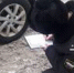 Приставы Чувашии заявили об арестах автомобилей за долг от 3 тысяч рублей - Pg21.ru Pro Город