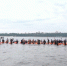 В прошедшие выходные в Чебоксарах прошел заплыв «Chebswim 2200» - Газета Чебоксарские новости