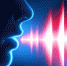 Курсы повышения квалификации «Фонопедический метод развития голоса» - ЧГПУ им. И.Я. Яковлева
