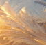 winter-20135_960_720.jpg - Республиканский тубдиспансер