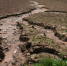 Водная эрозия почвы: меры борьбы - Россельхознадзор