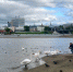 Козерогам пришло время делать выбор в личной жизни, а Водолеям - готовиться к сюрпризам - Pg21.ru Pro Город