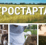 В правила предоставления гранта «Агростартап» вносятся изменения - Государственный аграрный университет