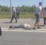 В Чебоксарском районе на трассе М7 иномарка сбила мужчину - Pg21.ru Pro Город
