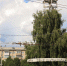 Поздравление Дмитрия Краснова c 61-летием города Новочебоксарска - Корпорация развития