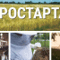 Минсельхоз Чувашии предоставил гранты "Агростартап" на сумму 50,9 млн рублей - ГТРК Чувашия