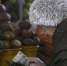 Food market in Novosibirsk - КПРФ