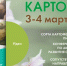 Фото cap.ru - Chuvash.Org