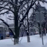 Что произошло с троллейбусами в Новоюжном районе, и когда восстановят обычное движение - Pg21.ru Pro Город