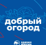 Единая Россия» запускает акцию по сбору и доставке семян на Донбасс - Единая Россия
