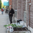 Сезонная торговля в Чебоксарах должна быть только в установленных местах - Администрация г. Чебоксары