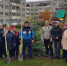 В обновленных дворах Чебоксар провели акцию по посадке кустарников и деревьев - Чебоксары.ру