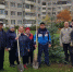 В Чебоксарах провели акцию по посадке кустарников и деревьев - ГТРК Чувашия