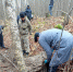 Убивший лося браконьер задержан в сельском районе Чувашии - Cheboksary.Sm.News