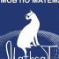 ЧГПУ стал площадкой Всероссийского флешмоба по математике MathCat'2022 - ЧГПУ им. И.Я. Яковлева