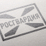 В Чебоксарах наряд Росгвардии задержал мужчину, который пытался вынести из магазина товар на сумму более 80 тысяч рублей - Росгвардия