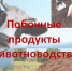 Разъяснения о порядке и сроках направления уведомления об отнесении веществ, образуемых при содержании сельскохозяйственных животных, к побочным продуктам животноводства - Россельхознадзор