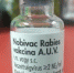 Выявлена контрафактная вакцина от бешенства «Нобивак®Rabies» - Россельхознадзор