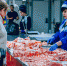 Безопасность продуктов на прилавках Чувашии обеспечивают лаборатории ветсанэкспертизы - Минсельхоз Чувашии