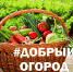 Всероссийская акция «Добрый огород» помогает пожилым и многодетным семьям - Газета Таван Ен