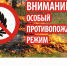 В Чебоксарах введут особый противопожарный режим - ГТРК Чувашия