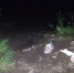 https://forum.na-svyazi.ru/uploads/202305/post-354501-1685085552-948.jpg - Cheboksary.Sm.News