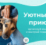 Добровольческая акция Чувашского ГАУ «День хвостиков» - призер конкурса «Уютный приют» - Чувашский ГАУ