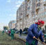 Клены, ели и спиреи: на ул. Гражданская в Чебоксарах стартовал сезон озеленения - Администрация г. Чебоксары