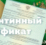 Стала возможной автоматическая выдача карантинных сертификатов - Газета Таван Ен