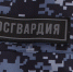 В Чебоксарах сотрудники Росгвардии задержали мужчину, находившегося в федеральном розыске - Росгвардия
