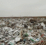 Фото: Zibaguga - Газета Наша версия