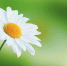 240_F_89882191_eQOIy5JjRMiwU2NpkyXvbfStO7ifWK00.jpg - Городской клинический центр