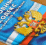 Пенсионер из Марпосадского района хранил дома более 2 тысяч патронов - MyChu.Ru