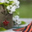 Ко Дню Победы в этнокомплексе «Амазония» объявлен конкурс рисунков «Весна Победы» - Администрация г. Чебоксары