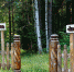 В Чувашии создадут новые экотропы - ГТРК Чувашия