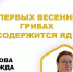 JEnwUfWPPjIV3LcZoRy7b0hZQ0b2HjCN.jpg - Чебоксарская РБ