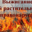Внимание! Пал сухой травы запрещён! - Газета Таван Ен