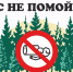 Мусор в лесу – источник пожара - Министерство природных ресурсов