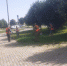 В Чебоксарах продолжается покос травы - Администрация г. Чебоксары