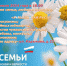 Приглашаем жителей и гостей Чебоксар посетить дворовый праздник, посвящённый Дню семьи, любви и верности - Администрация г. Чебоксары